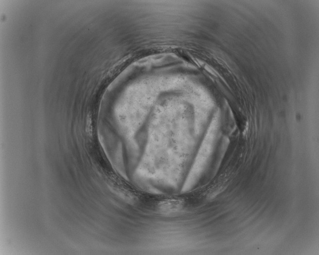 X0000074340700200609152122