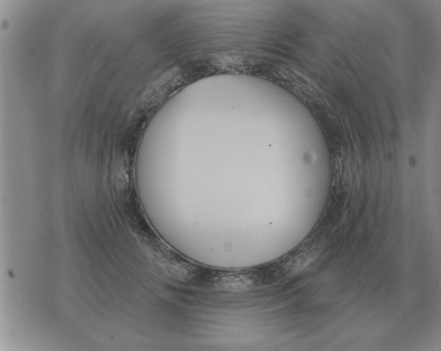 X0000074340702200609152122