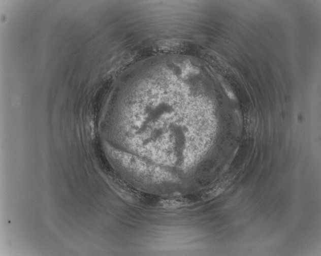 X0000074340703200609152122