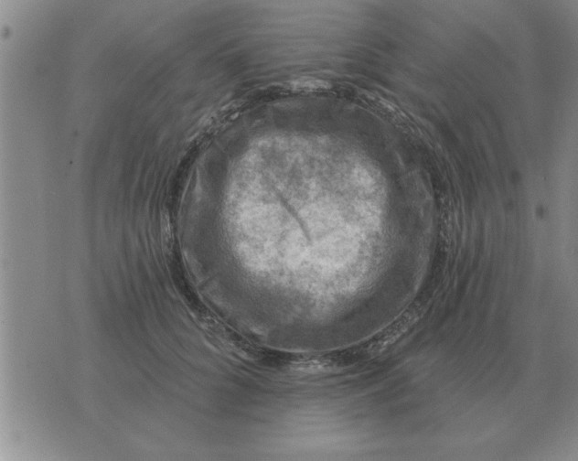 X0000074340704200609152122