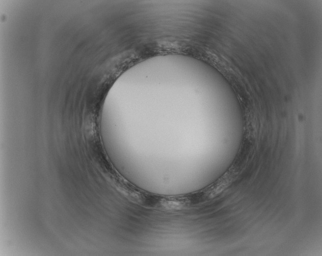 X0000074340706200609152122