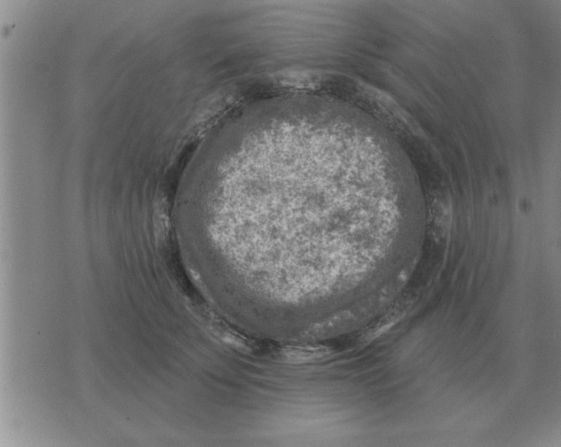 X0000074340707200609152122