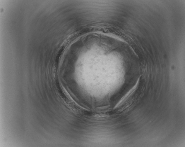 X0000074340708200609152122