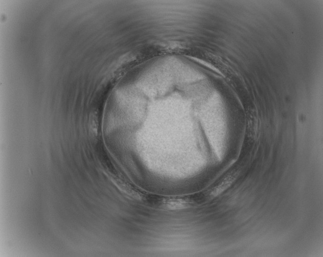 X0000074340710200609152122