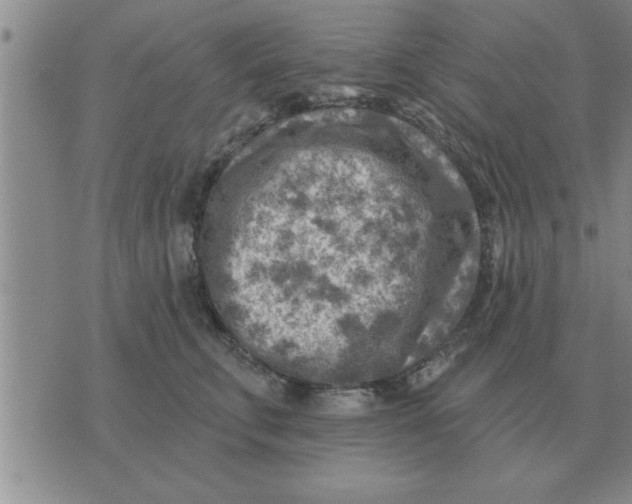 X0000074340711200609152122