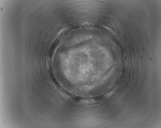 X0000074340712200609152122