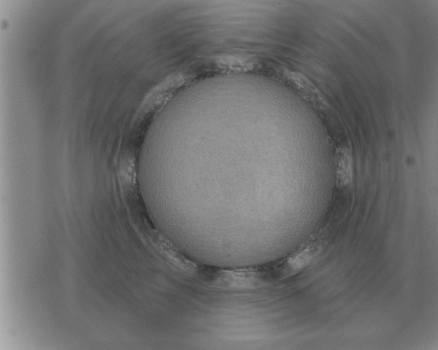 X0000074340713200609152122