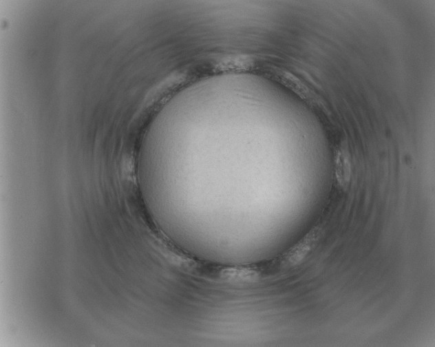 X0000074340714200609152122