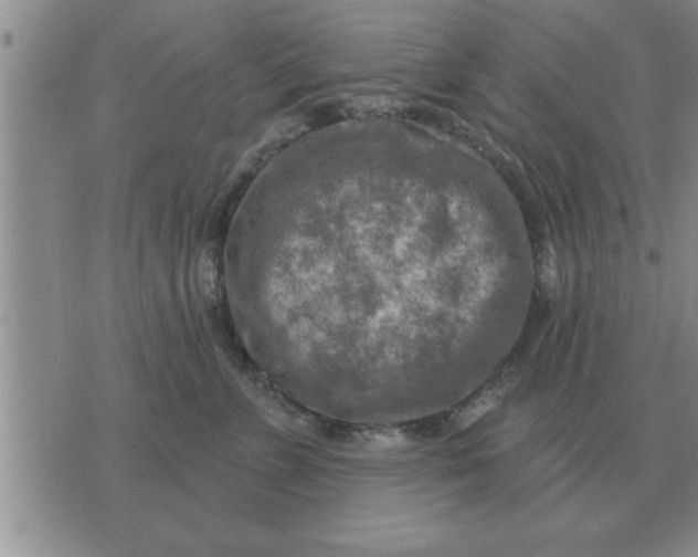 X0000074340715200609152122