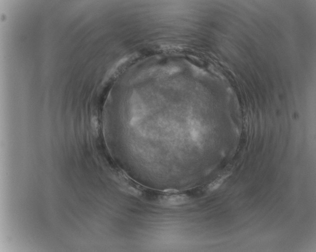 X0000074340716200609152122