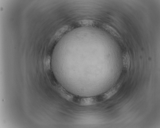 X0000074340717200609152122