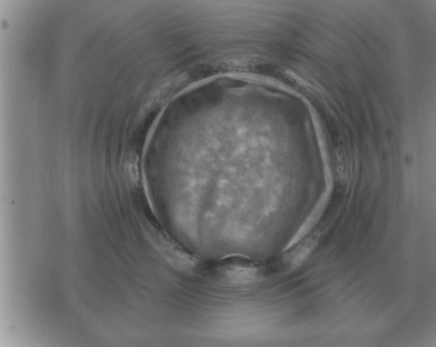 X0000074340718200609152122