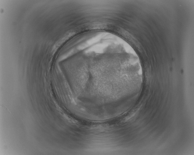 X0000074340721200609152121