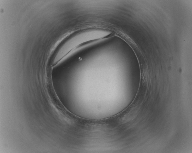 X0000074340722200609152121