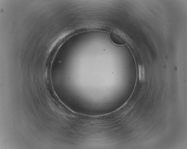 X0000074340723200609152121