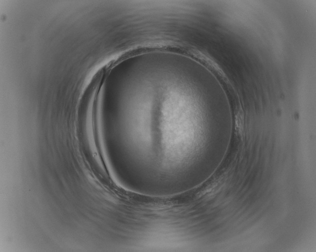 X0000074340724200609152121