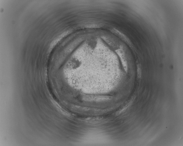 X0000074340725200609152121