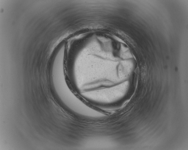 X0000074340727200609152121