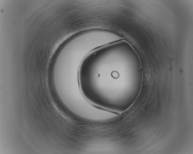 X0000074340728200609152121