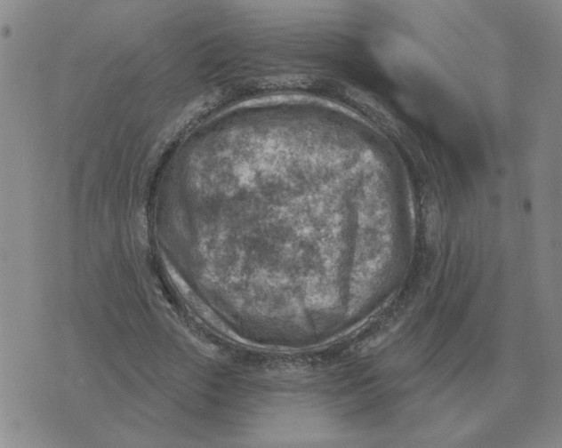 X0000074340729200609152121