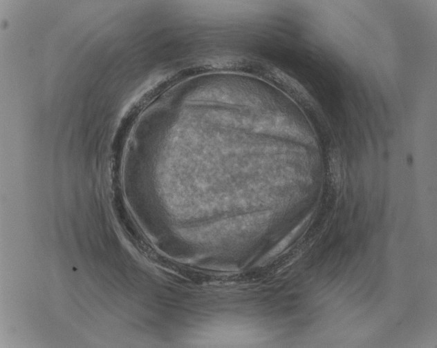 X0000074340730200609152121