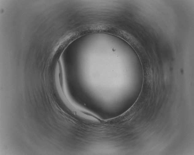 X0000074340731200609152121