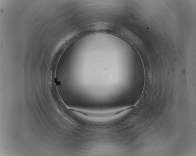 X0000074340732200609152121