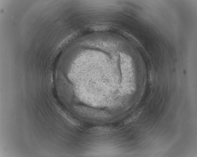 X0000074340733200609152121