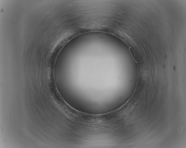 X0000074340735200609152121