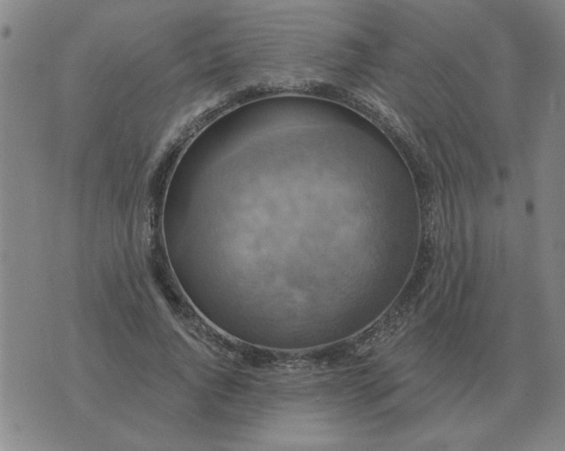 X0000074340736200609152121