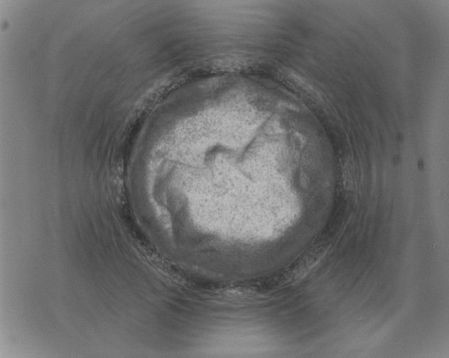 X0000074340737200609152121