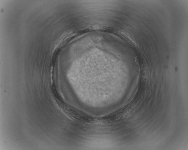 X0000074340738200609152121