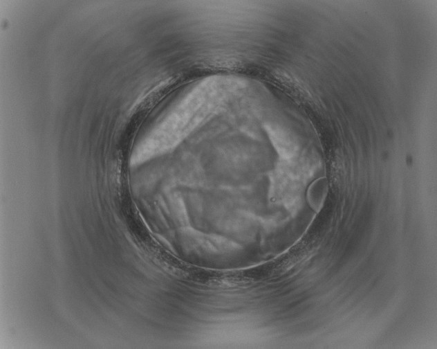 X0000074340739200609152121