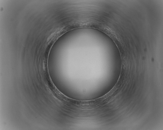 X0000074340740200609152121