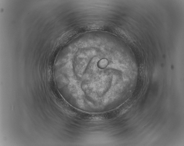 X0000074340741200609152121