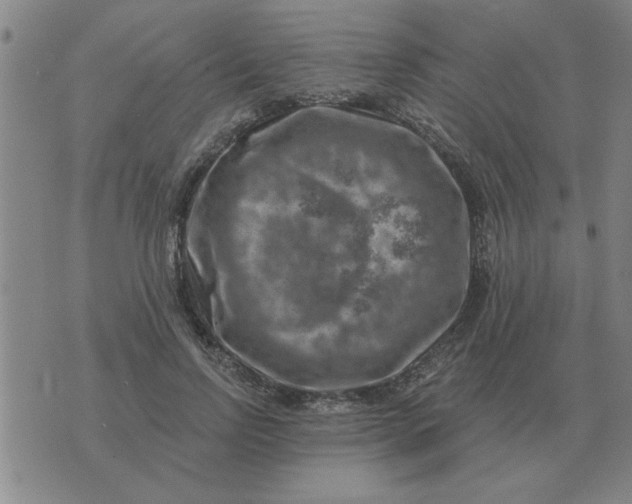 X0000074340742200609152121