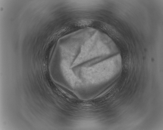 X0000074340743200609152121