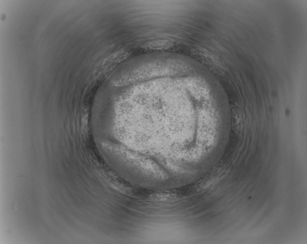 X0000074340745200609152121