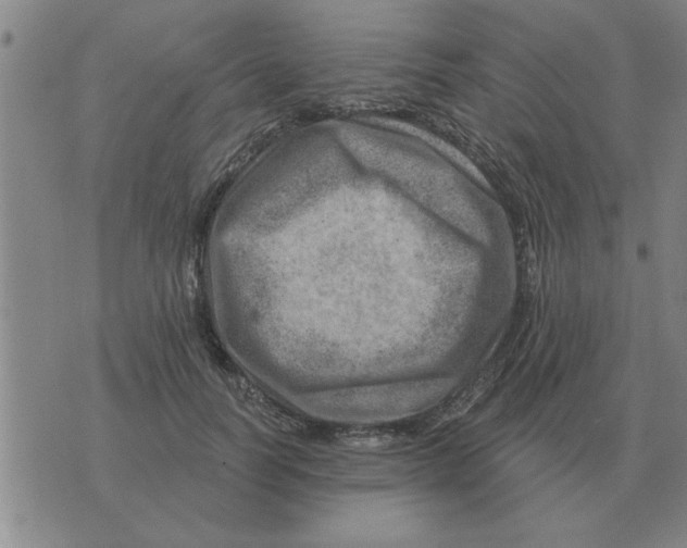 X0000074340746200609152121