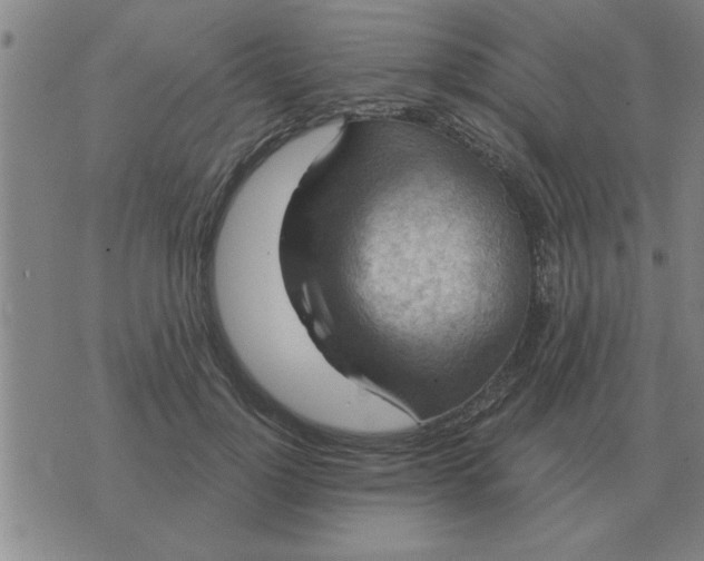 X0000074340748200609152121