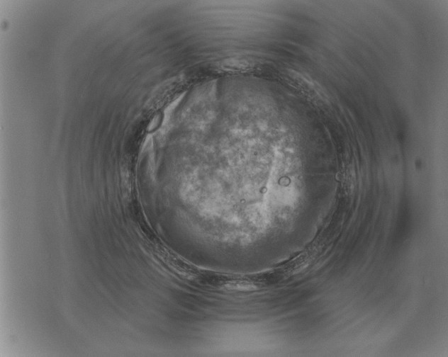 X0000074340749200609152121