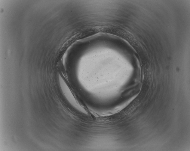 X0000074340750200609152122