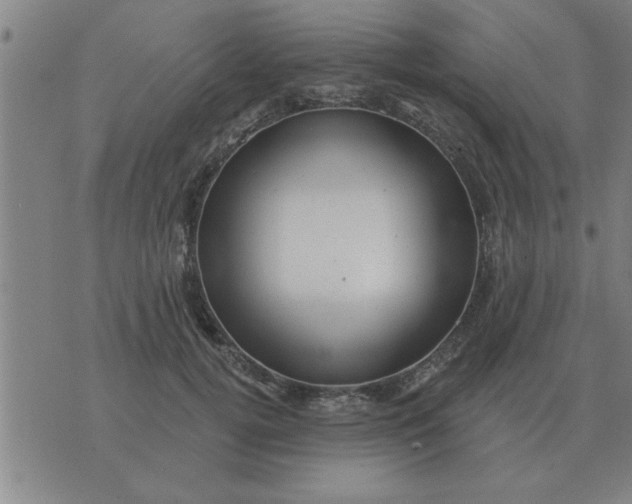 X0000074340752200609152122