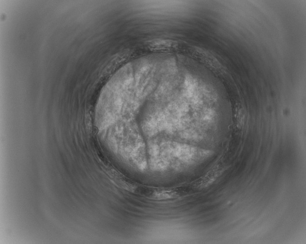 X0000074340753200609152122