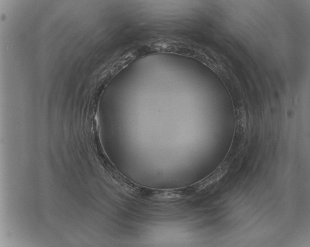 X0000074340754200609152122