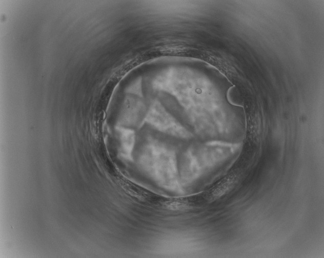 X0000074340755200609152122