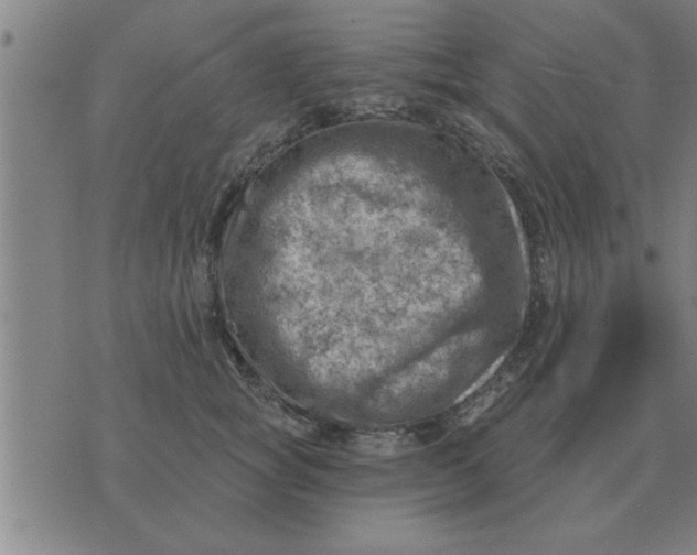 X0000074340757200609152122