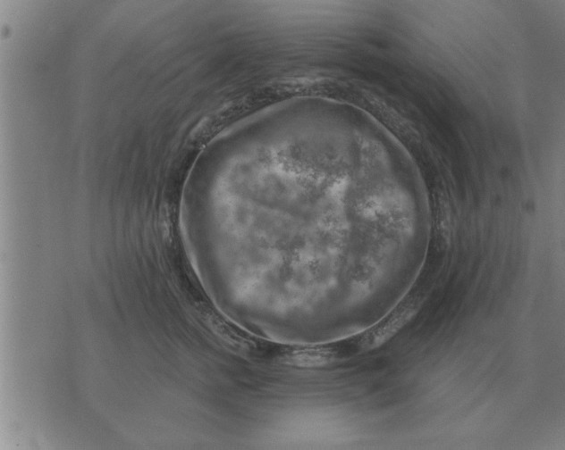 X0000074340758200609152122