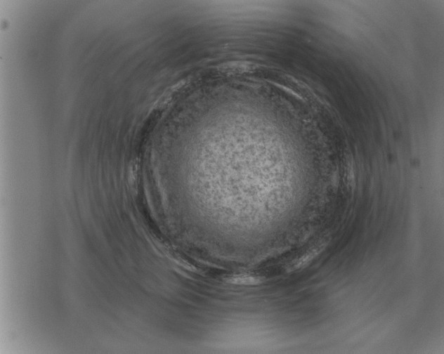 X0000074340759200609152122