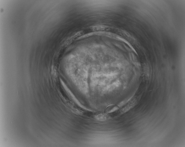 X0000074340761200609152122